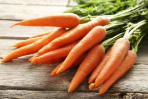 Carrot Plants Look Like