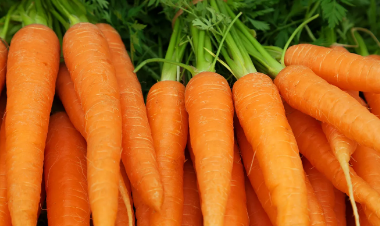 What Nutrients Are in Carrots