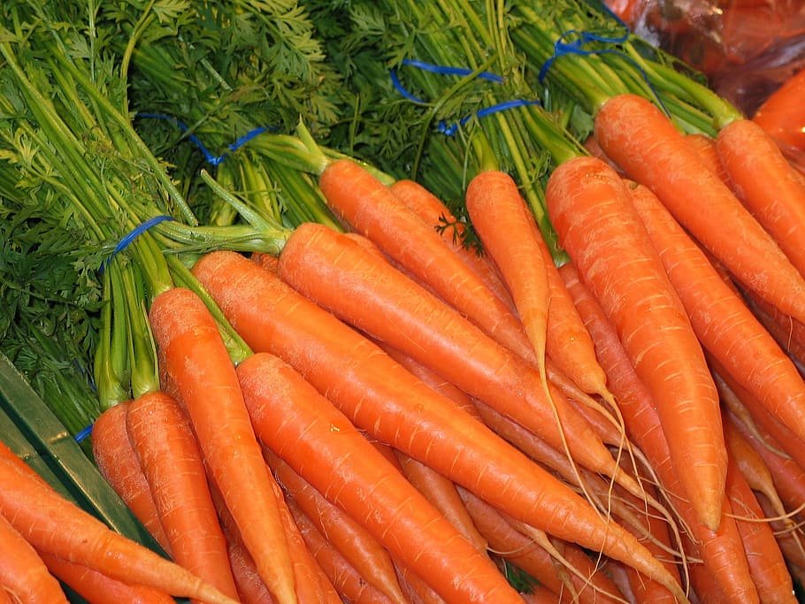 Do Carrots Help Constipation
