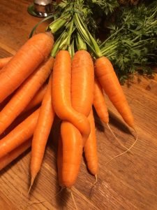 When to Thin Carrots