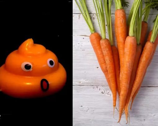 carrot poop