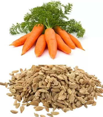 how do you grow carrot seeds