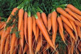 How Healthy Are Carrots
